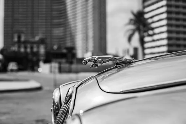 WagerWeb Casino Android/iOS Forrit